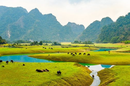 Top 10 khu dịch lịch đẹp nhất Việt Nam